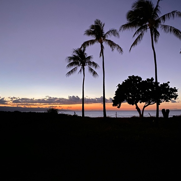 Meet your Posher, Nicolle - Picture 1 of 3